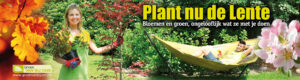 BannerPlantnudelente_LR