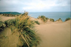 duinen